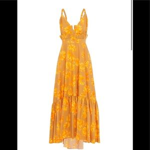 Maria Lucia Hohan Sarina Maxi Dress